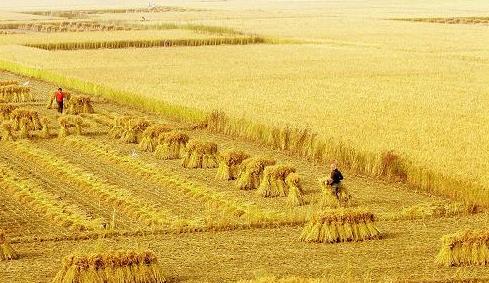 1.2 China s agriculture in transformation The New Normal: China's economy enters