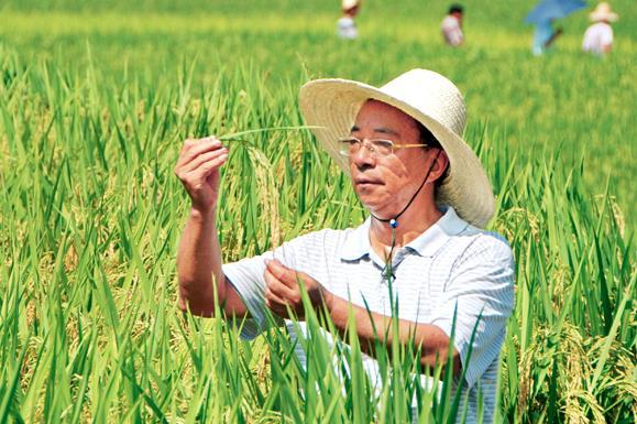 1.3 China agriculture and the global impact Commercial