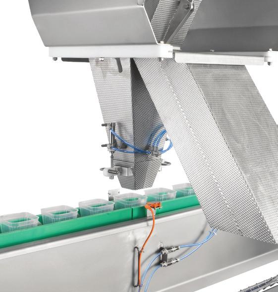Drive* radial feeders keep even sticky fresh fruit moving at optimum rates, and the rate of vibration
