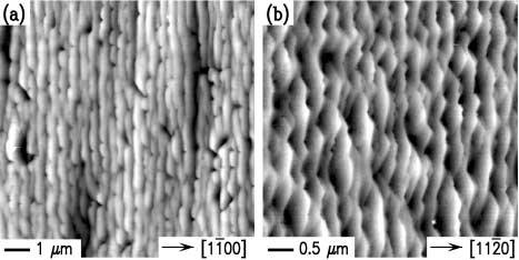 Figure 3. AFM images of GaN(0001) films grown on H-etched miscut SiC, with Ga/N ratio of 1.5 for both films.