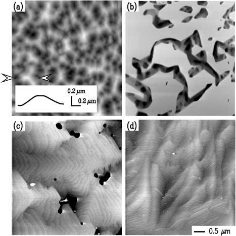 Figure 2. AFM images of GaN(0001) films grown on H-etched 6H-SiC, with Ga/N flux ratios of (a) 1.05, (b) 1.1, (c) 1.3, and (c) 1.6. The gray scale ranges are 210 nm, 86 nm, 5 nm, and 5 nm for (a) (d) respectively.
