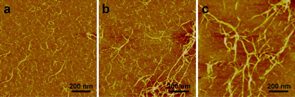 Supplementary Material (ESI) for Soft Matter Kinetics study of nanofiber formation in Chitin/HFIP system: To address the effects of kinetics in the chitin/hfip system, we compared the nanostructures