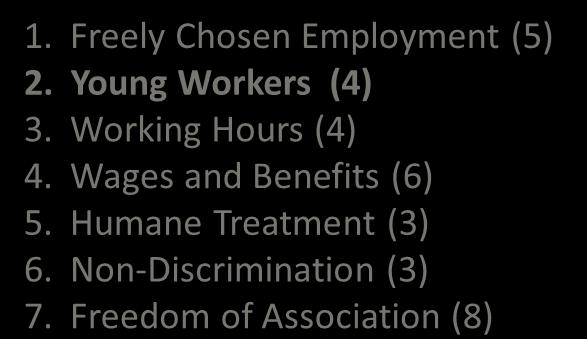 EICC Focus Elements/Code - v501 Treat Employee with dignity and Respect 1. Freely Chosen Employment (5) 2. Young Workers (4) 3. Working Hours (4) 4. Wages and Benefits (6) 5.