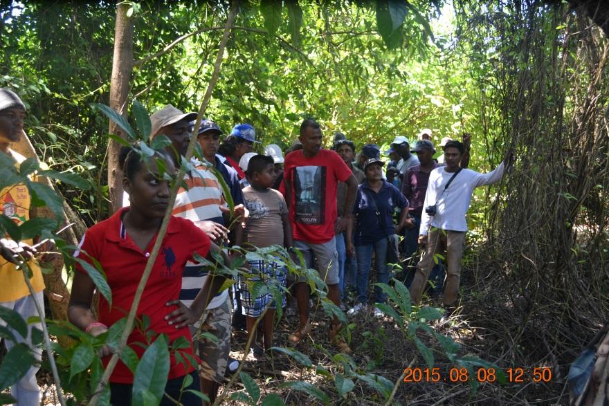 community-based, mangrove committees is