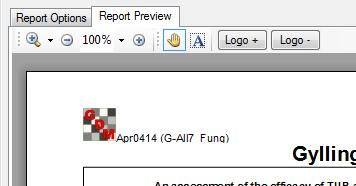 Report Preview Report Preview tab stays open One-click preview of reports Zoom in/out Adjust