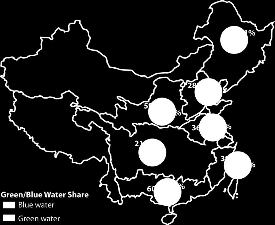 Assessing grain crop water productivity of China using a