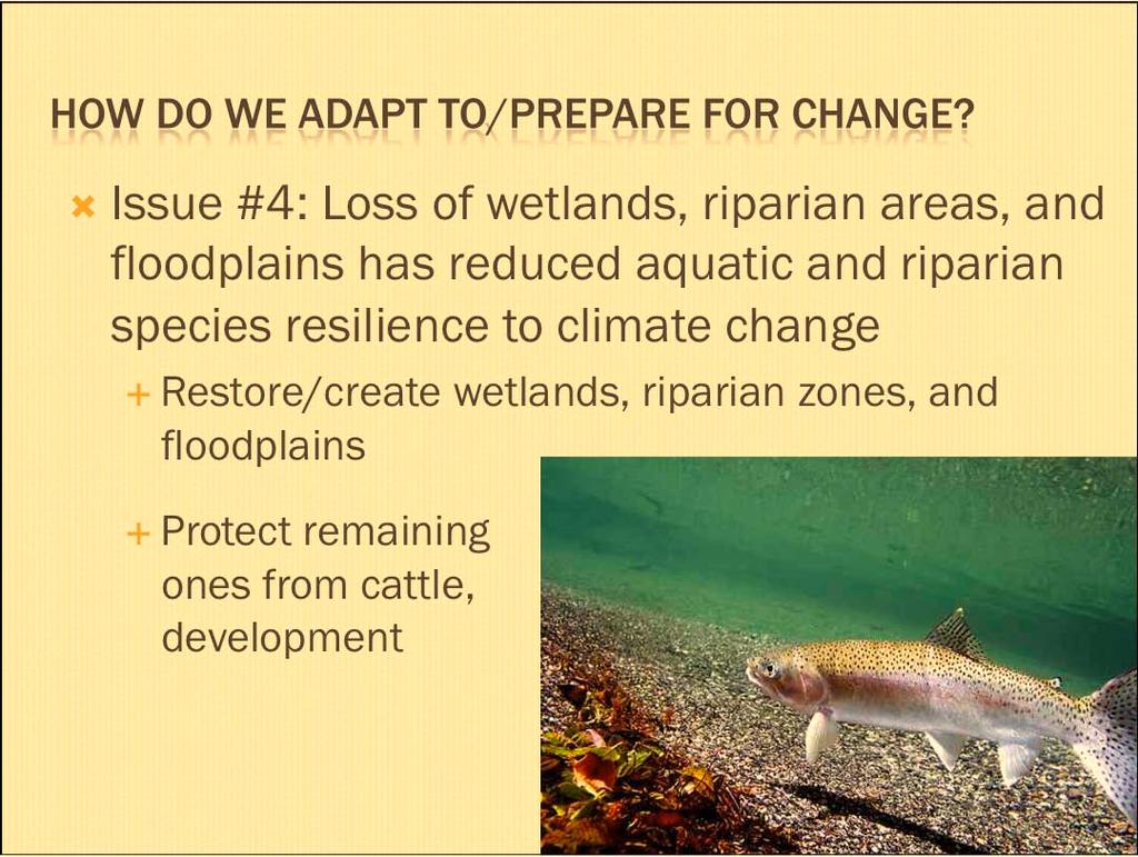 Issue #4: Loss of wetlands, riparian areas, and floodplains has reduced aquatic and riparian species resilience to climate change Restore/create