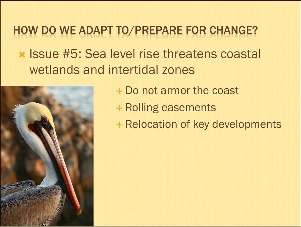Issue #5: Sea level rise threatens coastal wetlands