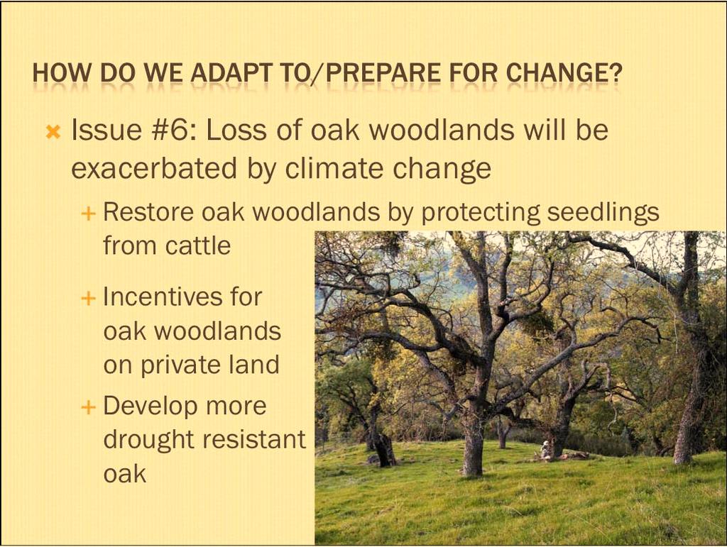 Issue #6: Loss of oak woodlands will be exacerbated by climate change