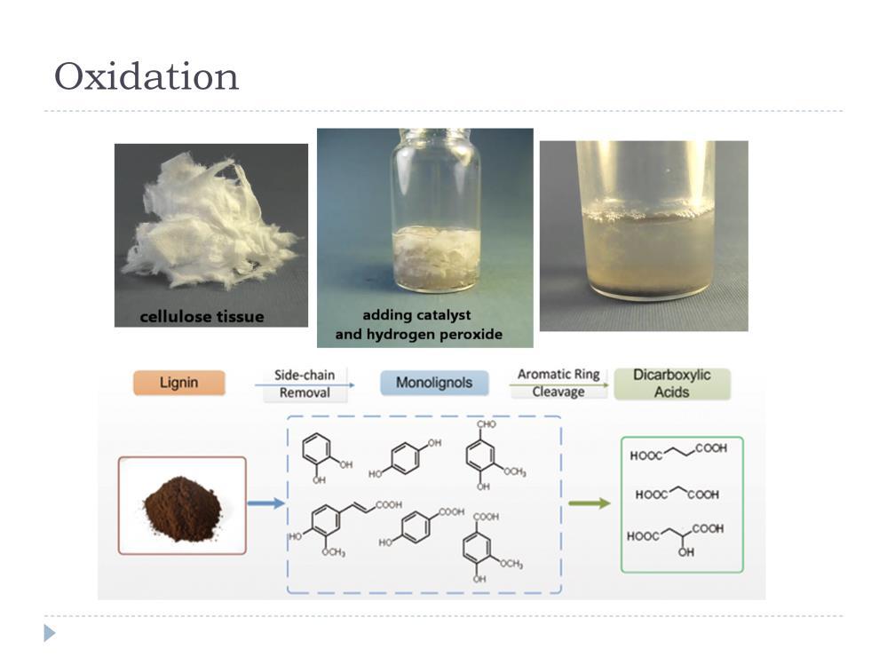 http://www.hydrogenlink.com/biomassdegradation Zaluska, A., and L. Zaluski. "New catalytic complexes for metal hydride systems." Journal of alloys and compounds 404 (2005): 706-711.
