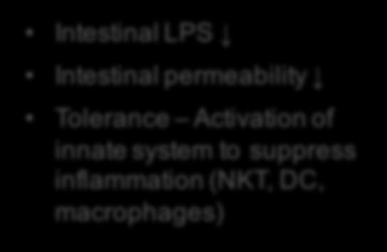 LPS Intestinal permeability