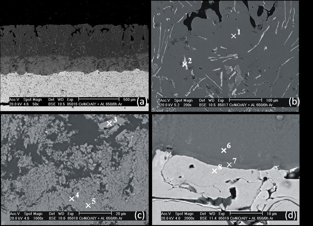 3.2 Coatings microstructure changes after the thermal exposure The CoNiCrAlY coating microstructure after the annealing at the temperature 650 C for 0 hrs with pressed aluminium sheet onto the