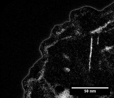 resolution TEM micrograph with the FFT result of the