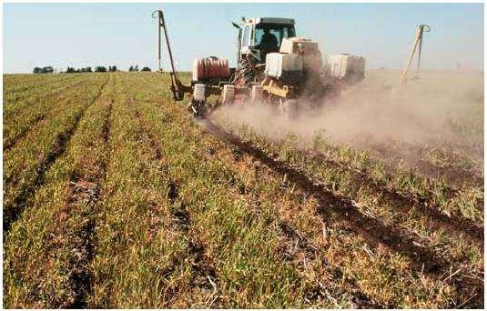 Cover Crop Winter cover crops such as rye, oats, winter wheat and etc, protects from wind erosion and provide an opportunity to