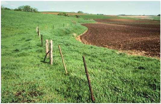 Diversion Used to keep water away from barnyards, feedlots, fields and channel water away from low bottom land. These area should be planted to permanent vegetation.