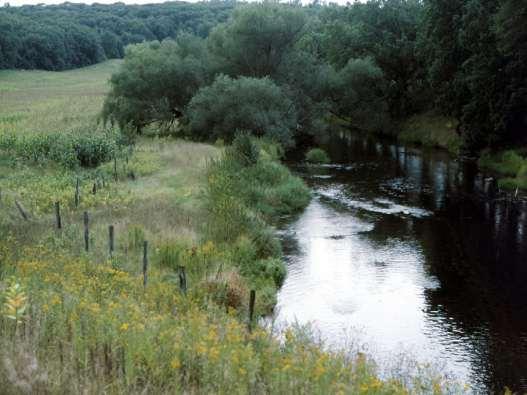 Riparian Buffer Strips of grass, trees or shrubs established along streams, ditches, wetlands or other water bodies to trap sediment, filter nutrient from runoff water and