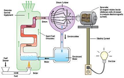 GENERATING ELECTRICITY & THE GREENHOUSE EFFECT How is electricity generated?