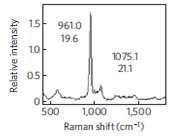 Investigation of osteogenic differentiation using Raman spectroscopy The success of tissue engineered material is invariably dependent on the ability of the cells to replicate the functionality of