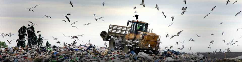 STATISTICS Wasted Food 33.8 40% 1We of food in the U.S. goes uneaten 1 million tons of organics end up in landfills or incinerators 2 are throwing away $165 Billion 1.