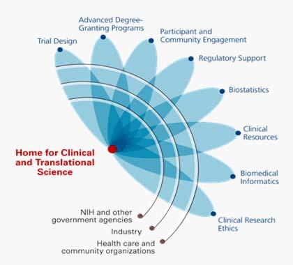 Johns Hopkins and Translational Medicine Progress in translational medicine requires development of teams of researchers that appreciate all phases Clinical and translational researchers will