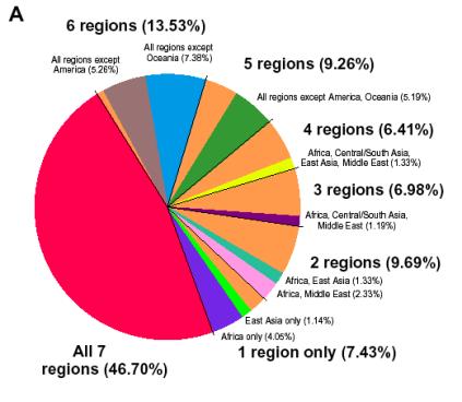 Most alleles present in all regions (few private alleles).