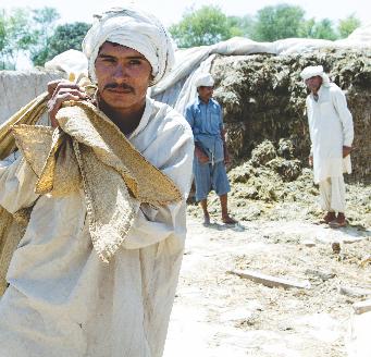 In Pakistan, MDF aims to create approximately 6,000 additional Full Time Equivalent (FTE) jobs and increase incomes for 72,000 households, potentially reaching up to 500,000 people