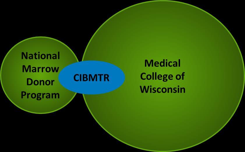 History The CIBMTR was formed through an affiliation of the International Bone Marrow Transplant Registry (IBMTR) of the Medical College of Wisconsin and the Research Department of the National