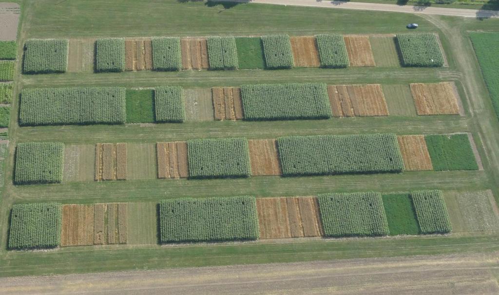 Long-term rotation trial, 2011 CT NT Corn Soybean Alfalfa Barley Wheat Initiated in 1980 Rotations CCCC, AAAA, CCAA, CCSS, CCSW, CCSW(rc), CCOB, CCO(rc)B(rc) Conventional tillage and notill 26740 -