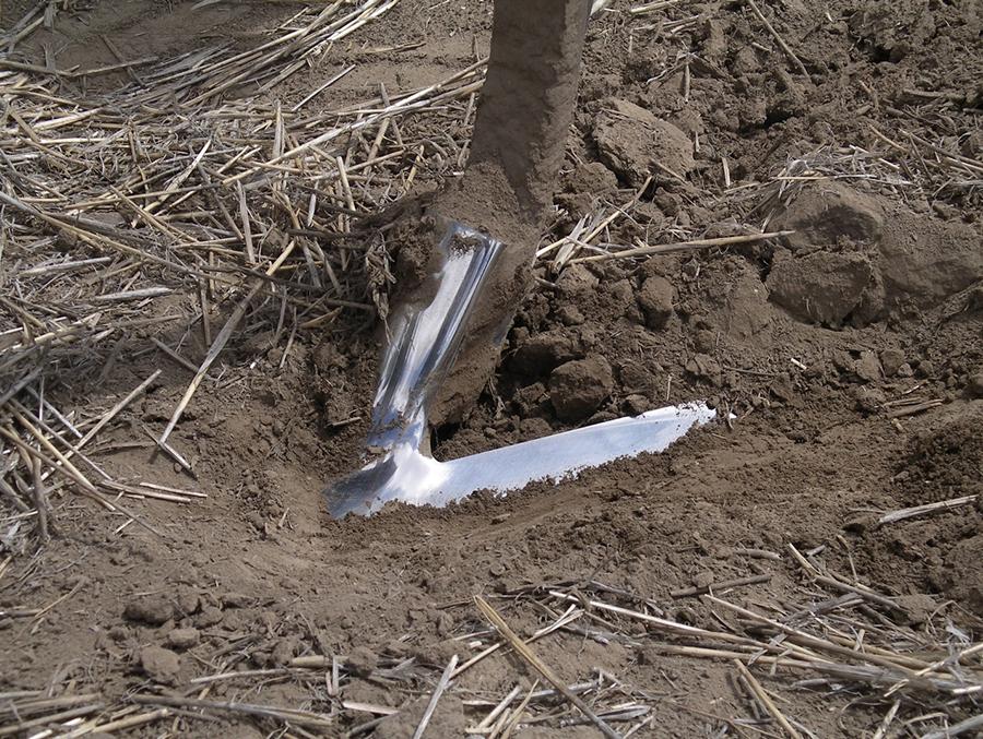 Methods An OFT 5 miles north of Almira, WA was carried out over four crop years to examine the impact of a single sweep cultivator operation in fallow on seed zone soil moisture, yield, and grain