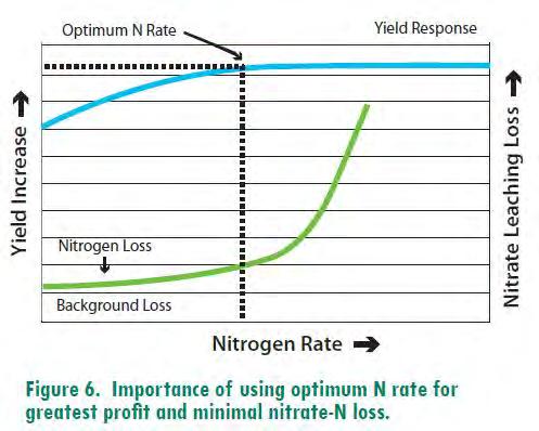 Nutrient Management Rate Justification *UMN P Recs based on soil test and crop rotation Our MN N rate BMP's were developed with environmental and agronomic concerns in mind, and many of our BMP