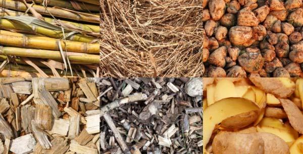 Biomass as a fuel