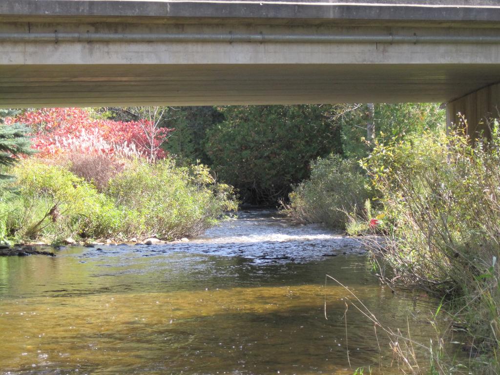 The biomonitoring data collected from these sites over 16 years allows us to see how stream health changes as the Nottawasaga River flows downstream from Mono, through Adjala-Tosorontio and into New