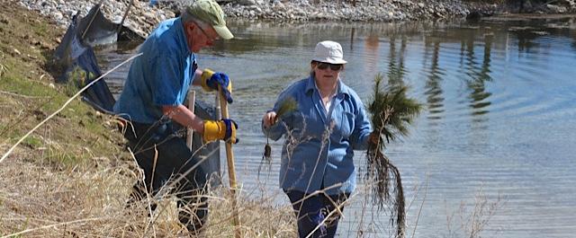 In Spring 2015, volunteers planted 1 hectare of future forest along Baker Creek.