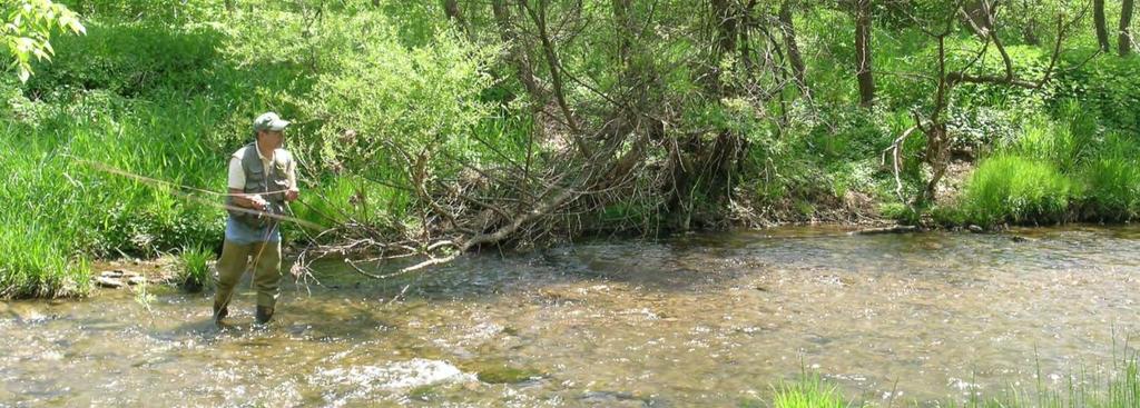 Incorporating Restoration Planning and Transportation Controls into the Valley Creek Watershed Act 167