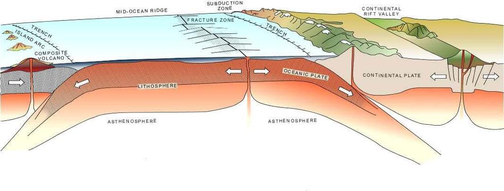 Plate Tectonic Processes Schematic