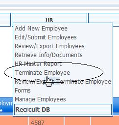 Terminating Employees Figure 18 - HR Master Report In the event that a staff member s employment is ended, you must indicate the termination in the system.