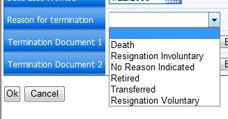 Reason For Termination From the provided drop-down menu, select the reason the employee s service with the company has ended.