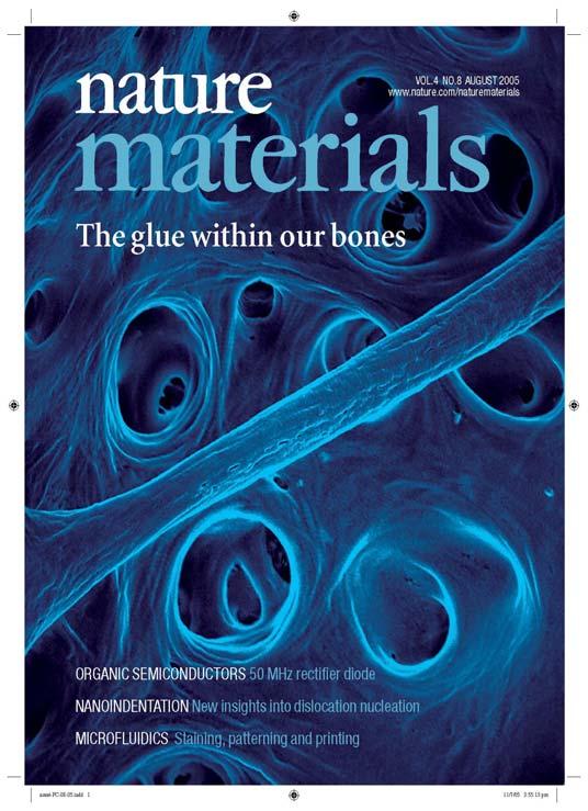 The glue within our bones The discovery of a glue in bones by Paul Hansma and collaborators (Fantner et al.