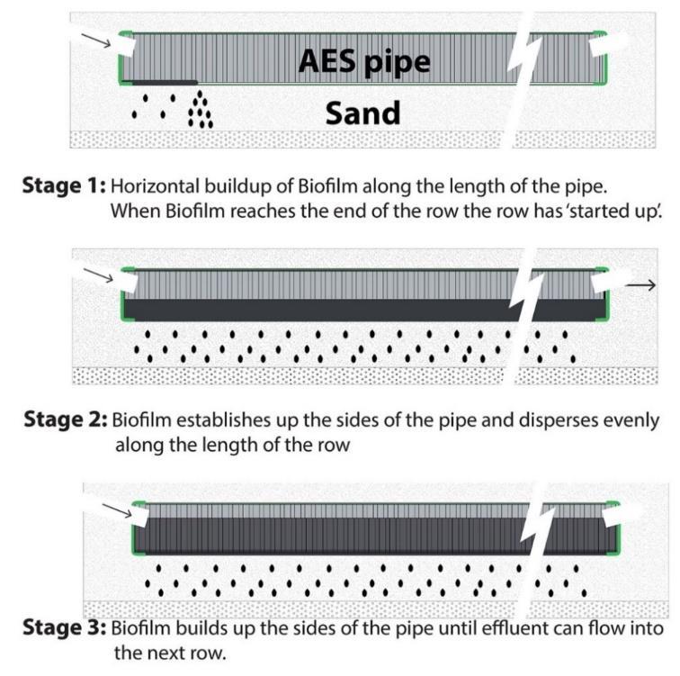 Figure 2. Biofilm build up in AES pipes When the AES-38 results from weeks 1 35 of Trial 12 are plotted on a graph there are three phases.