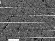 0 90 2 μm 2 μm 180 270 2 μm 2 μm Fig. 11 Scanning electron micrographs at 90 intervals of the line-and-space pattern formed at 120 μc/cm 2 4.