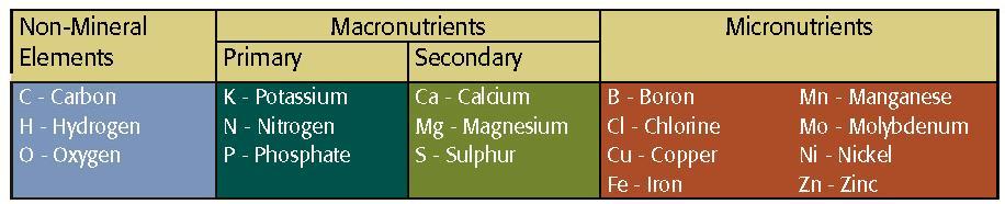 Plant Nutrients Overview Plant nutrients are plant food (and common chemical elements)