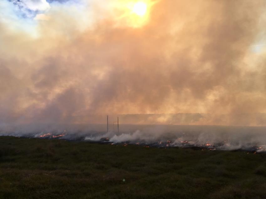 Photo 6: A prescribed fire within a patch-burn grazing pasture, which is one of the alternative