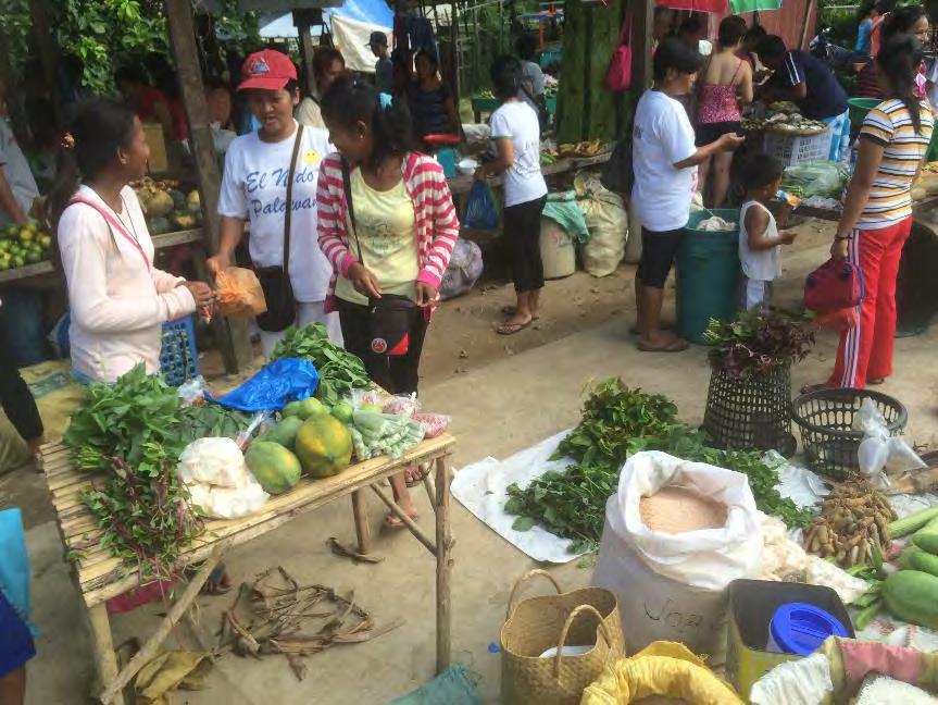 Local produce market, El Nido: A survey undertaken by the Palawan State University in 2013