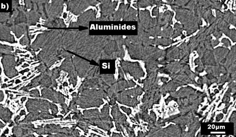 Alloys Aluminides Eutectic Si V f [%] N [mm -3 ] V f [%] N [mm -3 ] AlSi10Cu5Ni1-AC 8 ±1 1.1 x 10 4 9.0±1 1 x 10 4 AlSi10Cu5Ni1-4h 8.5±1 1.4 x 10 4 (+30%) 10.0±1 2.7 x 10 4 (+170%) AlSi10Cu5Ni2-AC 12.