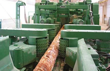 Ukrainian Sawmill Holding Company is an environmental sustainable