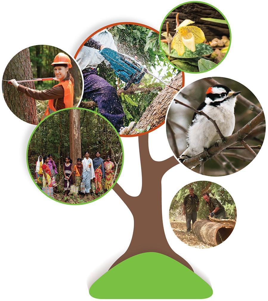 well-being of forest communities