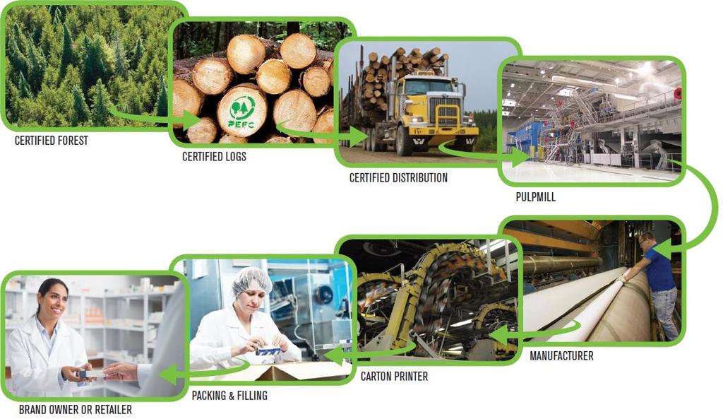 Behind the label The nuts & bolts of PEFC 2 areas Forest Management Chain of Custody Delivers