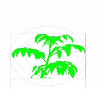 Derivation of a digital trait < Variables > green pixels front / side view Green pixels top view Digital _ biomass Pixels = Pixels +