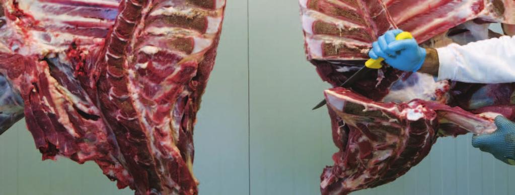 Outcome 4 Improving meat processing productivity, products and processes There is an increasing need to focus research efforts in collaboration with other Rural Research and Development Corporations,
