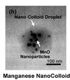 NEW NANOSYSTEMS FROM C-TRAIN Nanoplatforms Modality Size (nm) Drug Delivery In vitro In vivo Selected Reference Disclosure/patents Octane thiolcoated gold nanosphere Precursor 2